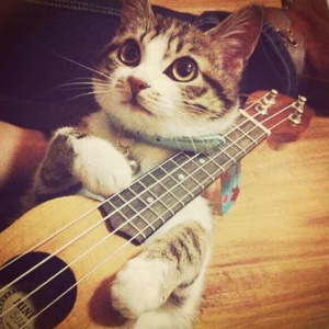 菠萝蜜一区二区三区
